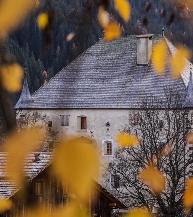 castle, hungary, leaves-3794681.jpg